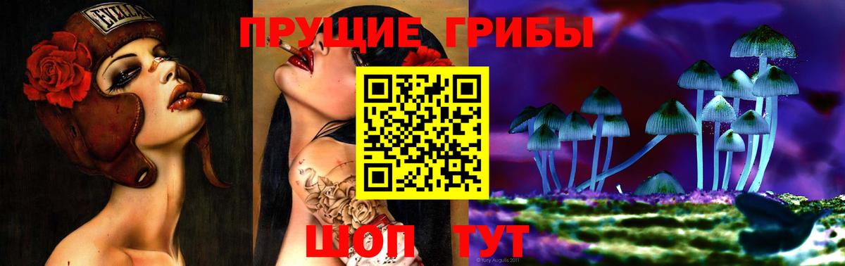 Галлюциногенные грибы Psilocybe  Вход с VPN  Иваново  Галлюциногенные грибы ЛСД 